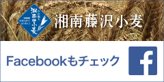 湘南藤沢小麦facebookページ